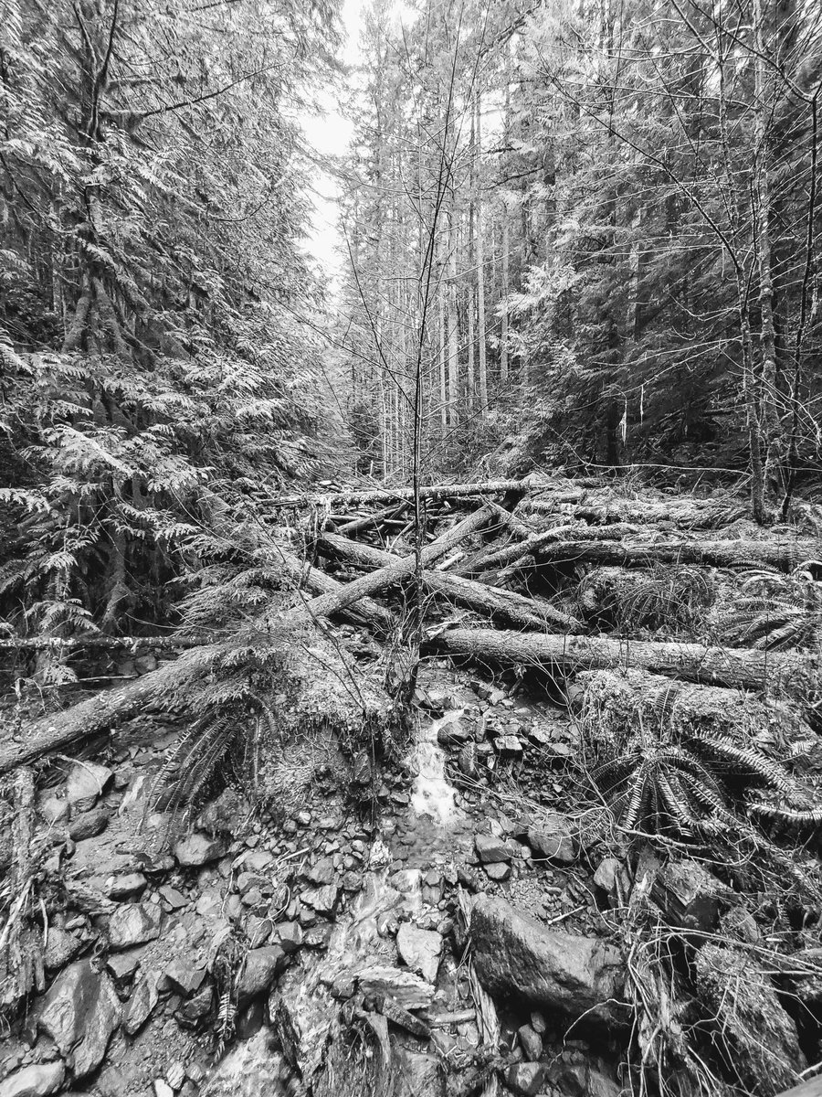 Robbinsdar's tweet photo. Sticks and stones... #blackandwhitephotography #fujifilm https://t.co/cP8CNSjPD9