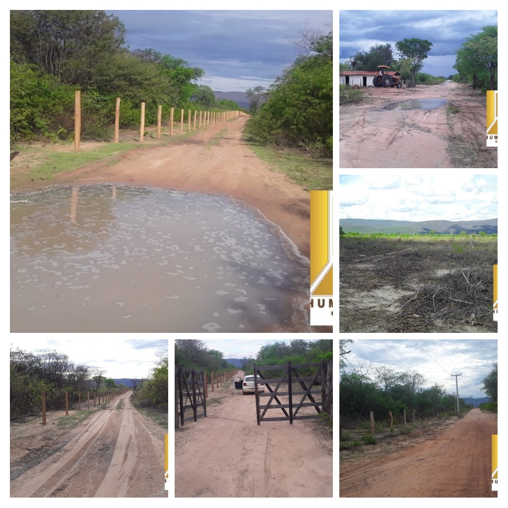 zelapaulo's tweet photo. Fazenda, a venda no Município de Morpará, Oeste da Bahia, com 622 ha, de área total, de solo fértil, argiloso e arenoso, altamente produtivo, topografia plana, ideal para agricultura mecanizável e irrigável, dupla aptidão, rica em madeira, Ligue 77 99816 2492 e agende uma visita! https://t.co/mUBaeFpJRg