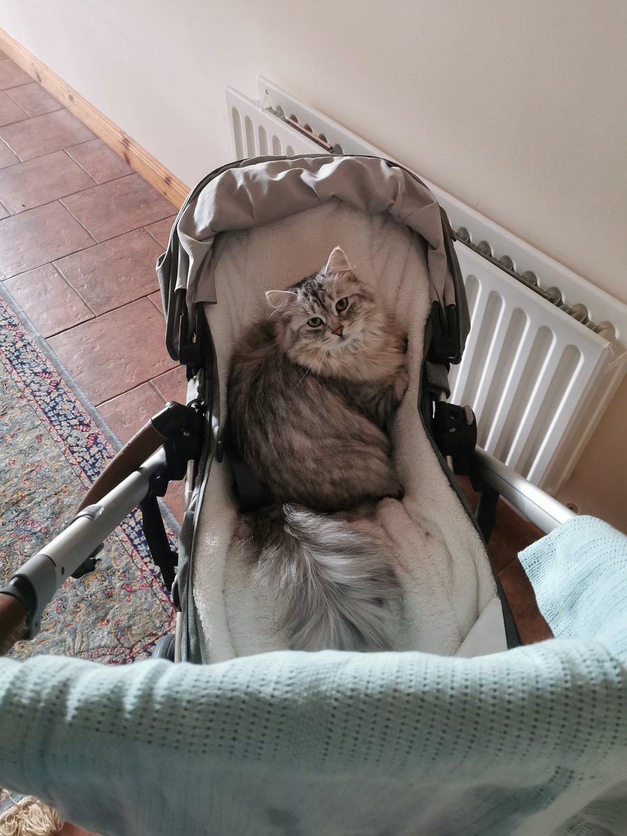 FTMTTM Podcast tweet media