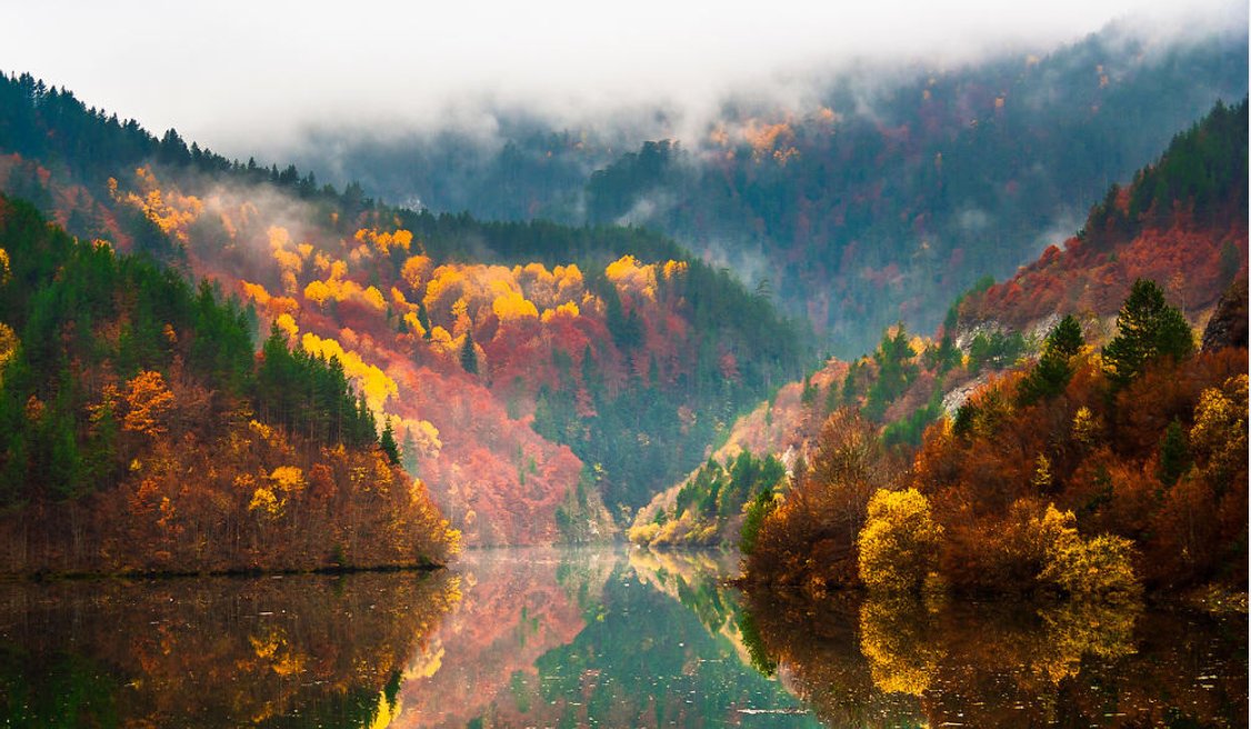 BiankaB12's tweet photo. #Autumn scenery from the Rhodope Mountains, Bulgaria <3 https://t.co/PSogSuHruj
