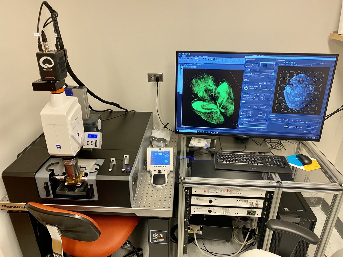 edwardlachica3's tweet photo. Cleared Tissue #Lightsheet microscope is ready to shoot data. Thanks #heintzLab at #RockefellerUniv - we @3i_inc are eager to support your research. https://t.co/25RJsrBdQ8