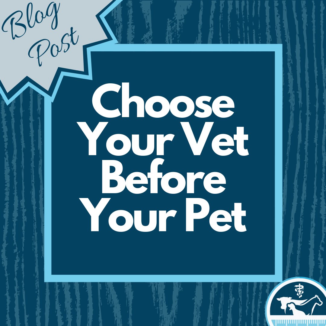 vetmeasure's tweet image. Before adding a new pet to the family, you should select a vet clinic that best fits your pet's needs. Click the link in our bio to see why you should choose your vet before your pet! #Vets #ChoosingAVet #VetMeasure