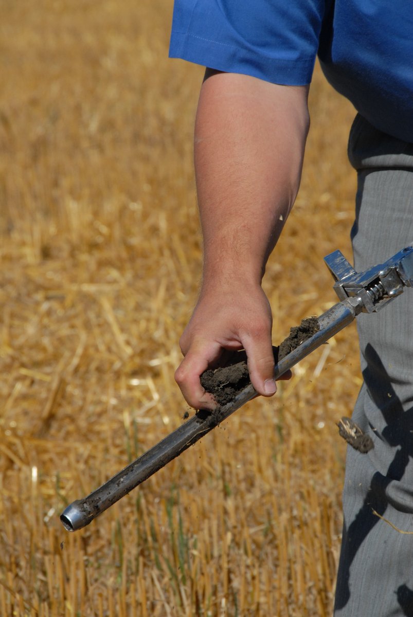 SKAgriculture's tweet image. Dry field conditions may mean that soils have leftover nutrients. Make sure to soil test this fall #SaskAg to know what you’re starting with in 2022. saskatchewan.ca/business/agric…