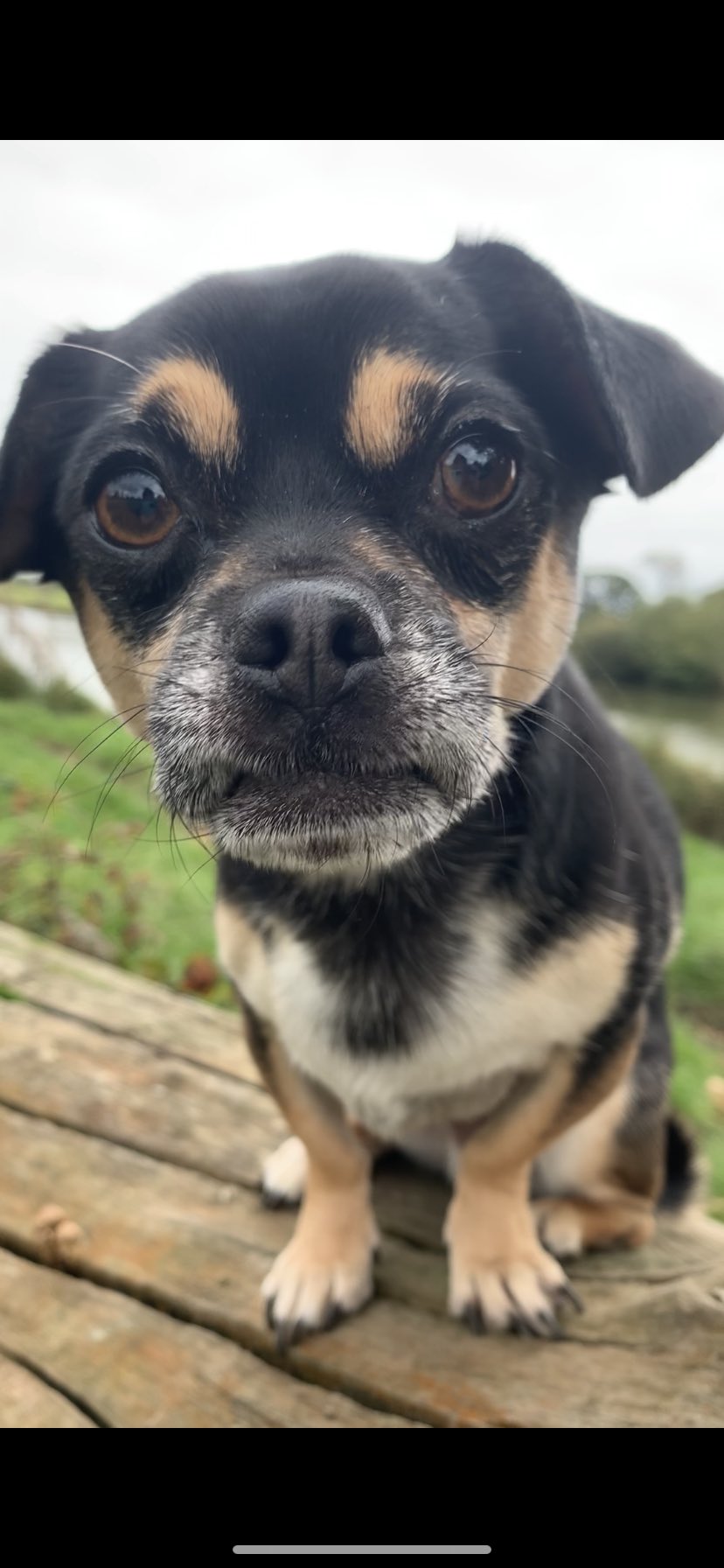 Rocky Roo (@RockyRoo_) / Twitter