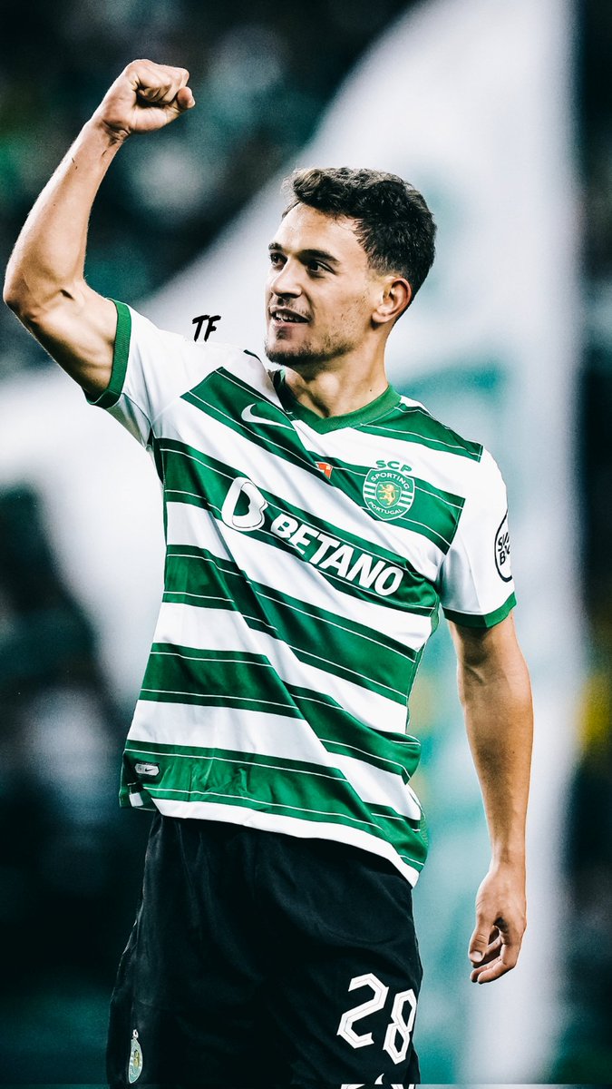 tf_sportedit's tweet photo. Sporting | Wallpaper &amp; Header

#SPOBJK #SportingCP #Sporting #ChampionsLeague https://t.co/dZddPv72F8
