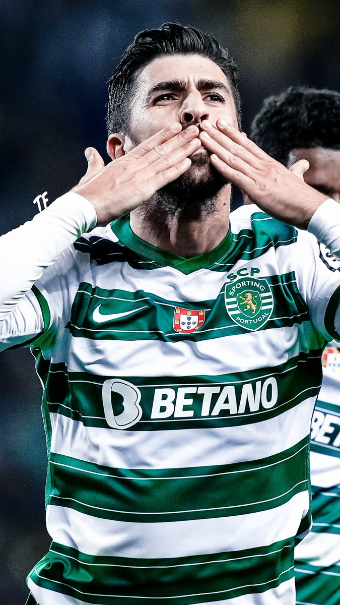 tf_sportedit's tweet photo. Sporting | Wallpaper &amp; Header

#SPOBJK #SportingCP #Sporting #ChampionsLeague https://t.co/dZddPv72F8