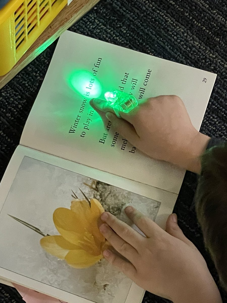MrsADohertyD63's tweet photo. Room 109 is not afraid of tricky words!!! Reading is so much fun when we use our good habits and word scanner flashlights!  #MarkTwainD63 #TogetherWeCan @sussman_howard @EllianEydis https://t.co/5yHkMQTCjd