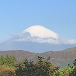 ツイートに含まれる画像