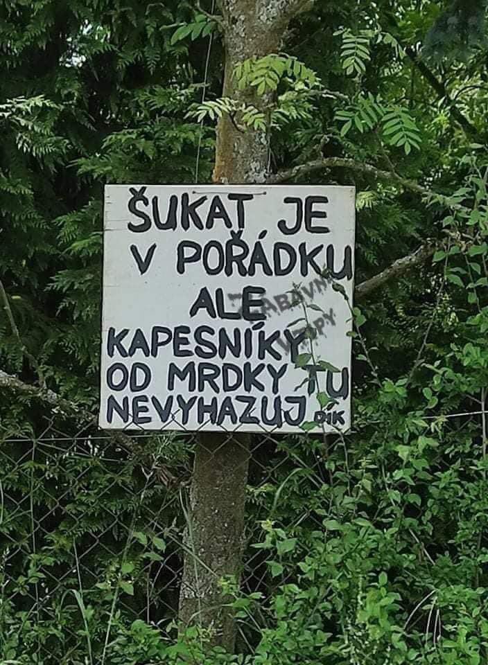 colcofficial's tweet photo. #czechsoflatecapitalism https://t.co/yMTp02gCX0