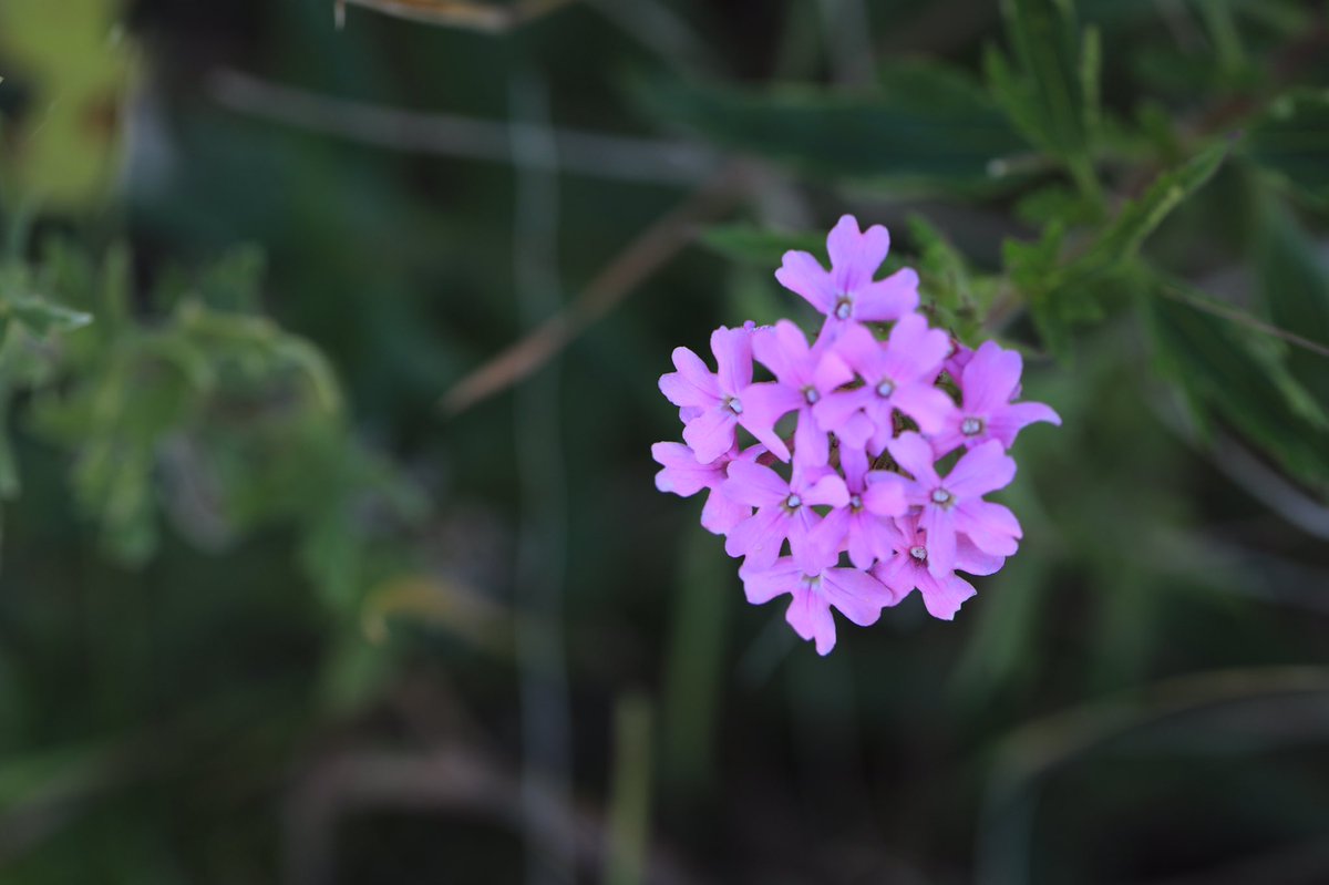 “Serenity of spirit comes from consciousness of right doing.” - a Shaker Saying