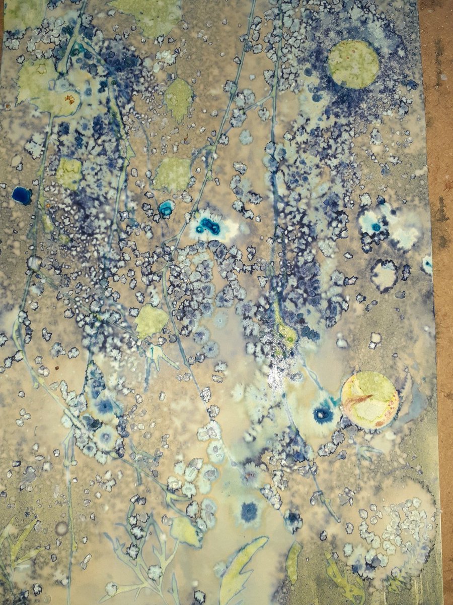 pamkelt's tweet photo. Half-rinsed cyanotype. Managed to  capture it. Looks different now.

#cyanotypes #BlueFernPrints #cyanotype https://t.co/AafxOIGkrp
