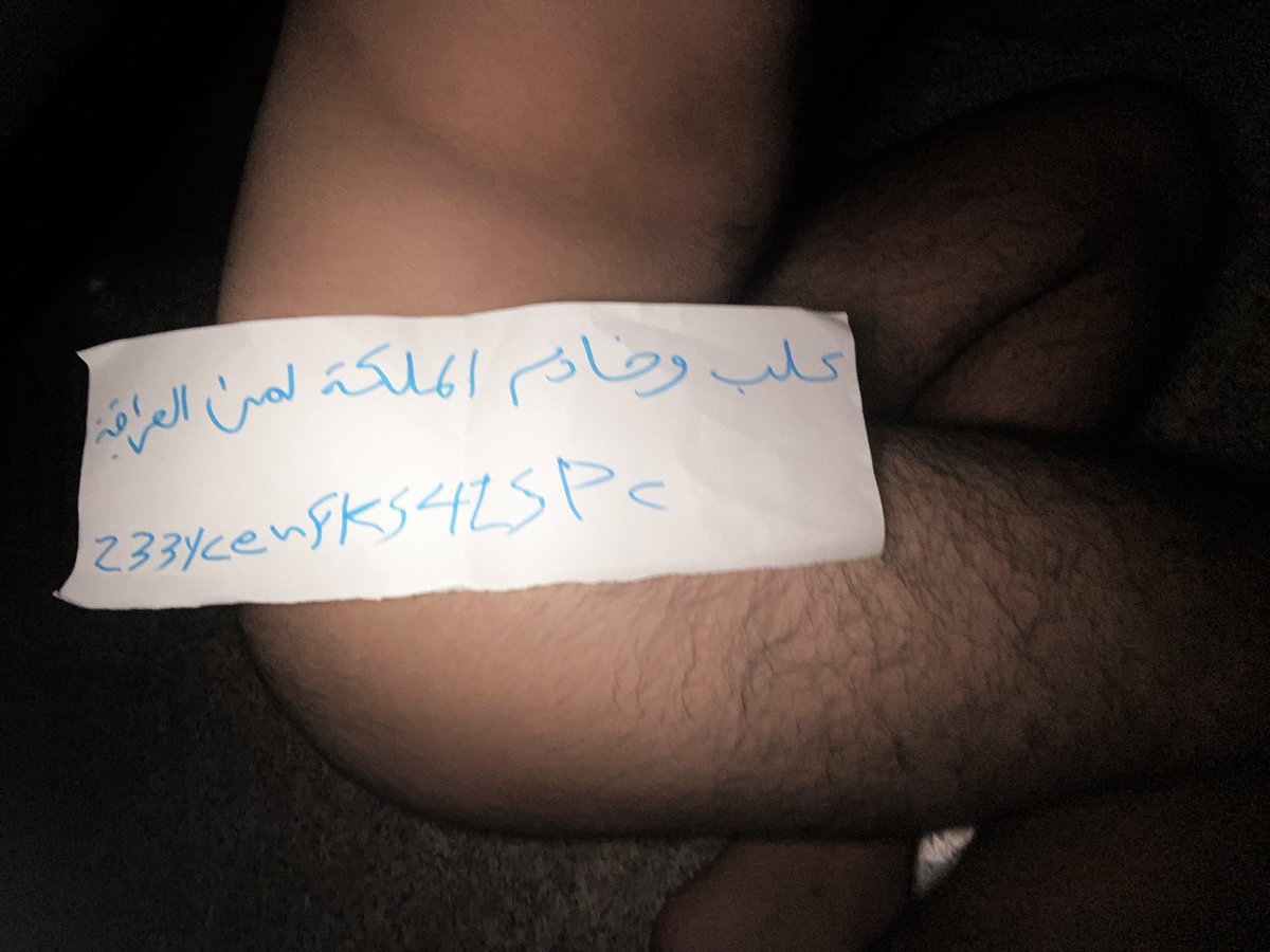 7_mlp4's tweet photo. كلب وخادم الملكه لمى العراقيه https://t.co/MOSETFUnnV