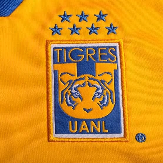 No sé ustedes, pero aunque les duela, @MiguelHerreraDT NO va a igualar lo que logro el Tuca Ferretti en @TigresOficial ¿Y como lo vas a recibir? @agalanis17 @gremio_tigres @tigres_todos @ninamoraless @ElProdigio182 @DinastiaTigre @RegiaVillarreal @SomosTigres @migangelgarzam