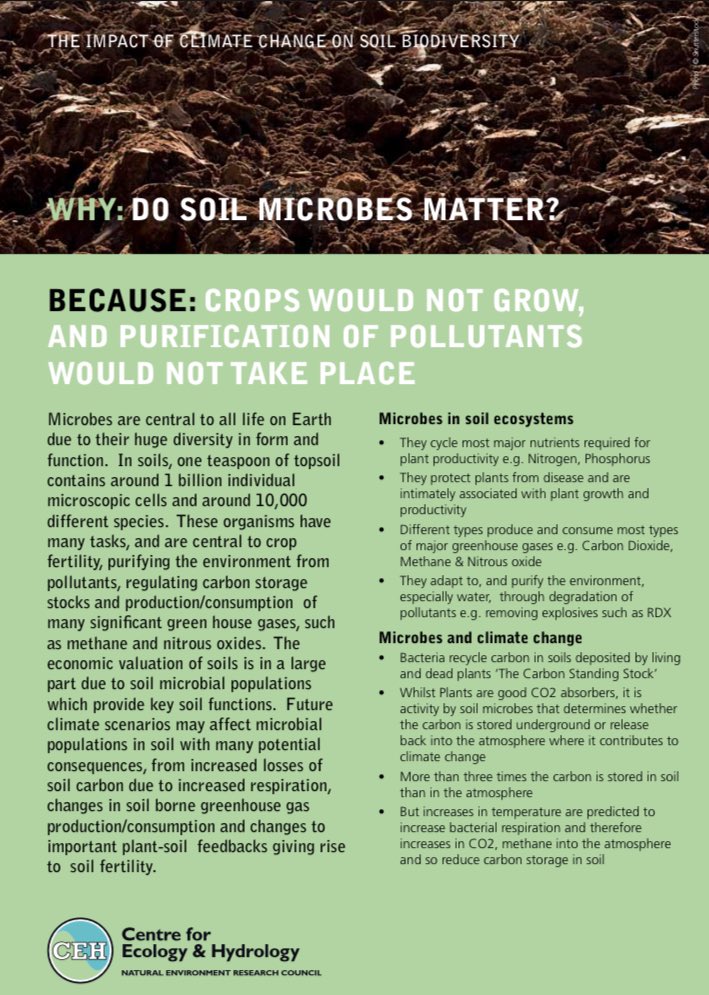 MrsG ๐ (@mrs_gannon_) on Twitter photo <a href="/HigherKhs/">ADV Biology KHS</a> A teaspoon of soil contains more living organisms than people on earth. #SoilHealth <a href="/HigherKhs/">ADV Biology KHS</a> A teaspoon of soil contains more living organisms than people on earth. #SoilHealth