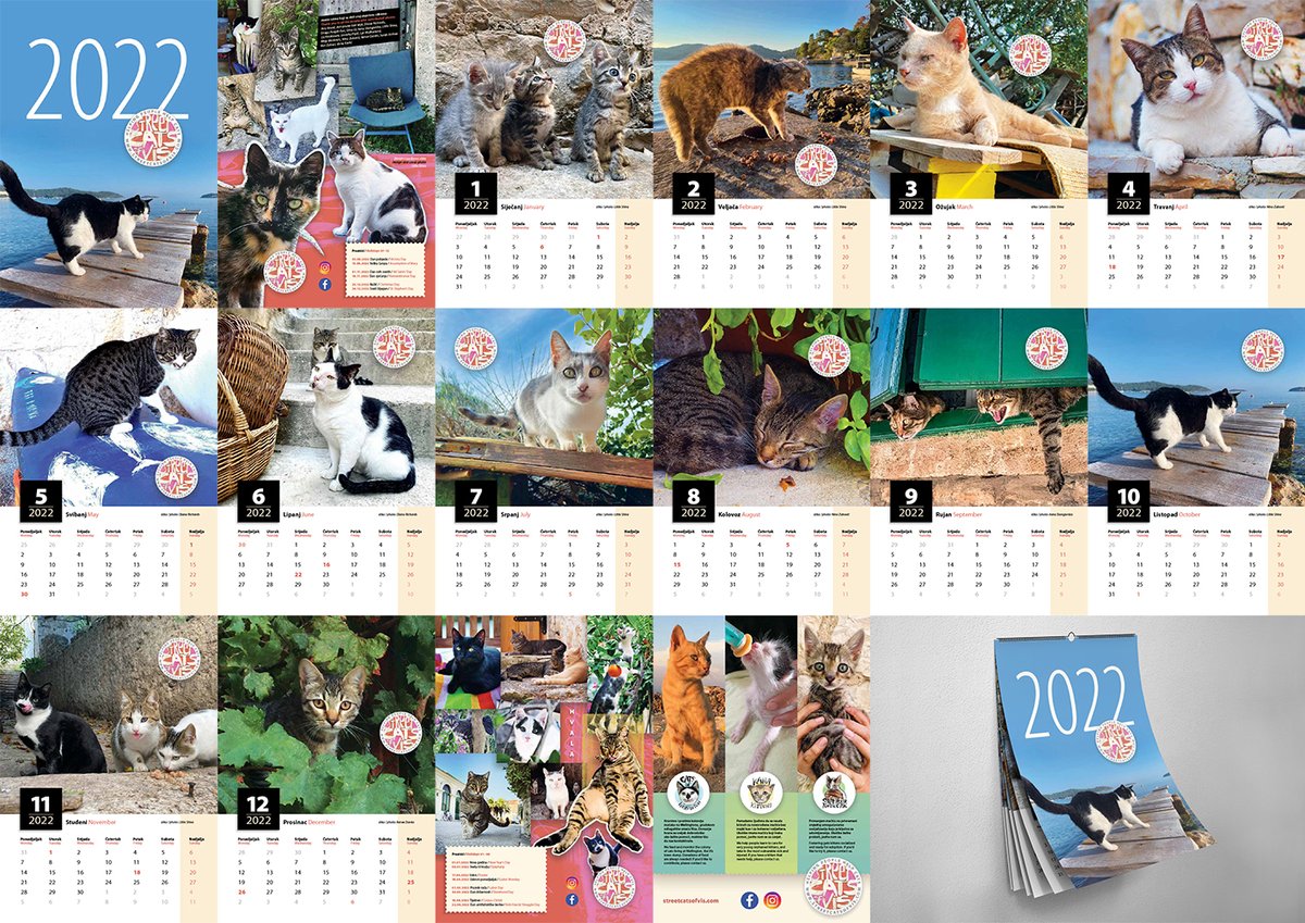 littleshiva's tweet photo. After an intense design marathon, the 2022 Street Cats of Vis calendar is finally at the printer's! To see each page in detail and to pre-order, go to https://t.co/hR6M82wkoG
#catsofcroatia #catcalendars #catsoftwitter #catrescue #TNR #visisland #mammamia @streetcatsofvis https://t.co/8Q7aExXQGm
