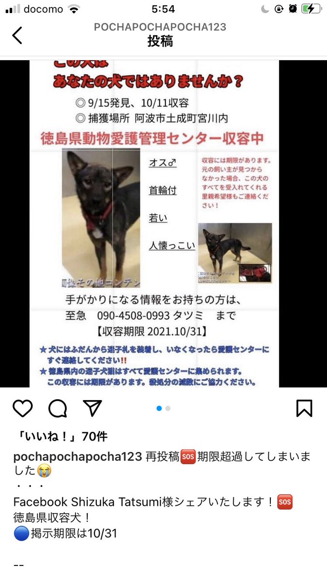 徳島県動物愛護管理センター Twitter Search Twitter