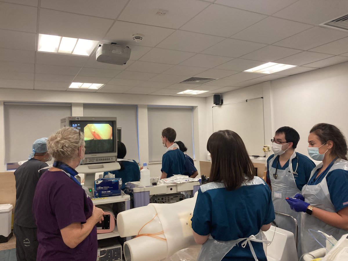 SGH_Endoscopy's tweet photo. Emergency GI Endoscopy Training in St George’s - getting stuck in! @StGeorgesTrust @JAG_Endoscopy @Kesavan_Kandiah @SarahHughesHep @RichardPollok https://t.co/NfyxdIhUcp