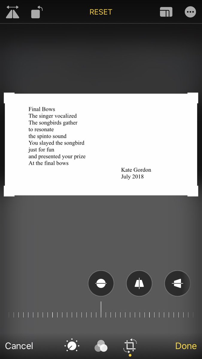 Claraghennis's tweet photo. #allthestones #poetry #stingingfly @birdsinhaiku @beirbuapress @AmericanSijo @timothygiordano https://t.co/bPmqk1QWk1