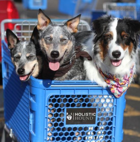 Support your local pet store! Holistic Hound is proudly sold in authorized retailers across the United States. Click the link to find a store near you. If your favorite pet store doesn't offer Holistic Hound, be sure to ask for it. holistichound.com/where-to-buy/