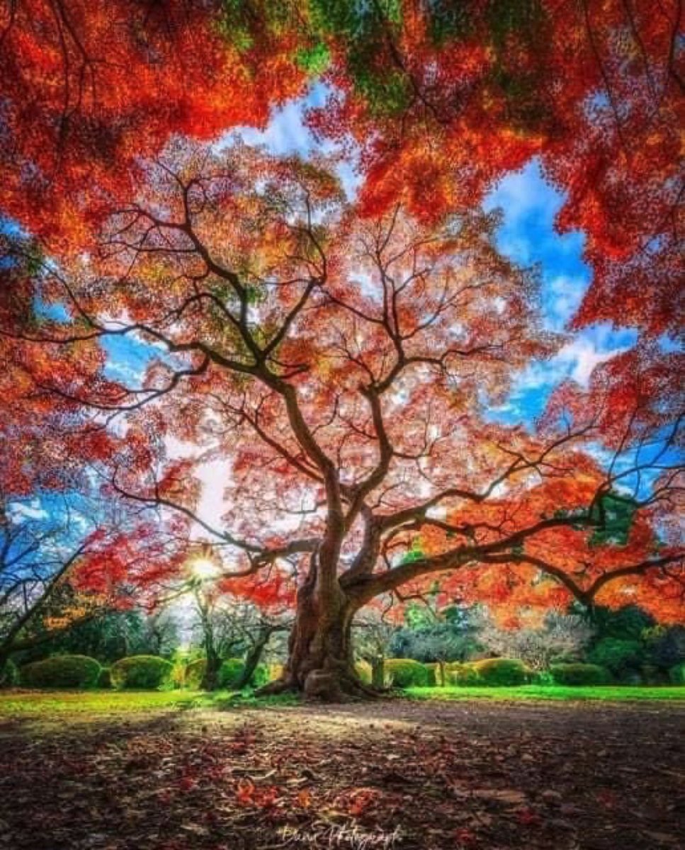 DeeonaFuson's tweet photo. PRINCIPLES OF MIRACLES 30
By recognizing spirit, miracles adjust the levels of perception and show them in proper alignment. This places spirit at the center, where it can communicate directly.
A Course In Miracles #acim #miraclesofcourse #miracles https://t.co/y7lgWl5V2d