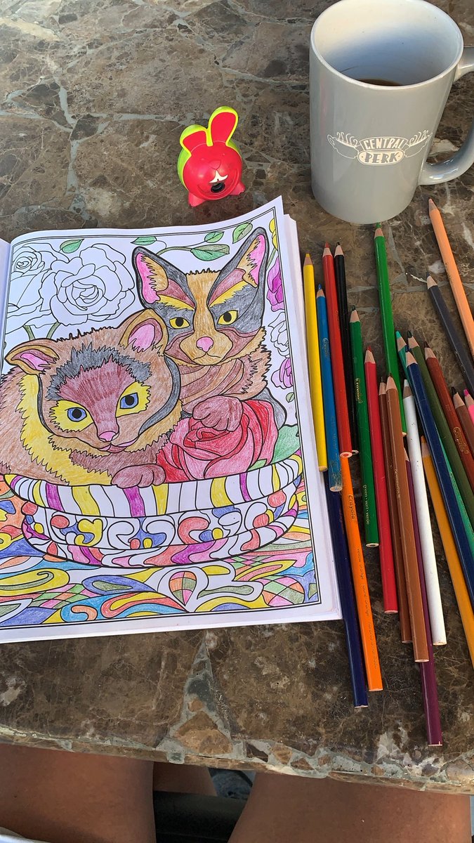 DiSportsMom's tweet photo. Anybody else do this when they’ve had just a shitty day? #studentrn #studentlife #coloringbook https://t.co/lThp3CqlZa