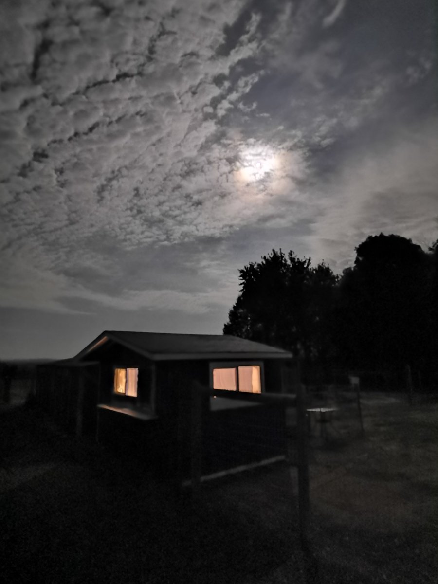 MoVernie's tweet photo. Looks like another beautiful night @hautegoat. It's so tranquil, calm & peaceful.
As always, luv'in the night mode feature with my #HuaweiP40Pro.
#nightphotography #nightsky #nightimages #hautegoat #farm #farmlife #alpacasleepover #alpaca #PortHope @HuaweiMobileCAN https://t.co/DM6R8tzKqb