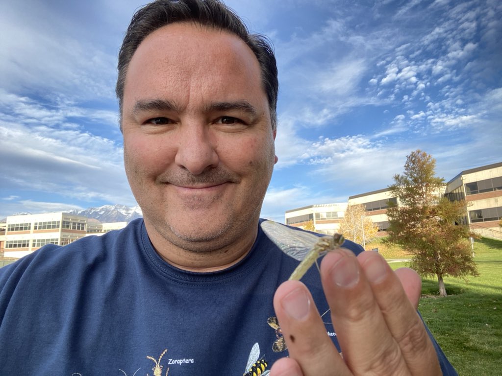 OgdenLab tweet media