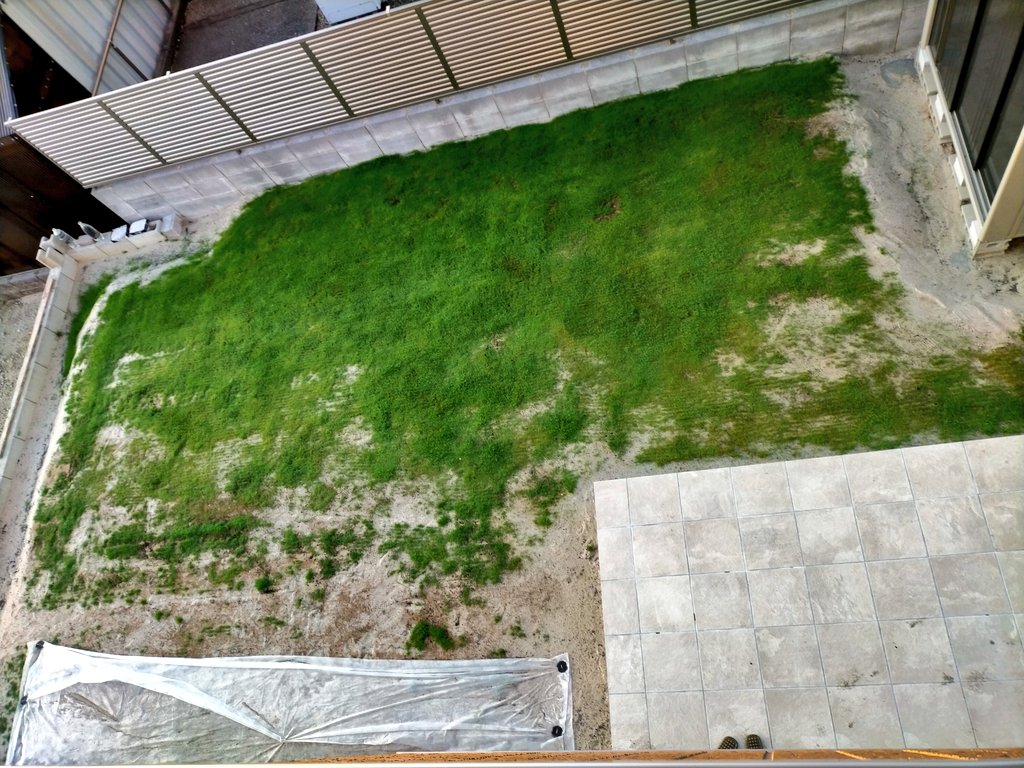 Glassae 芝ゴルフdiy おはよーございます 庭の芝生はやっぱりちょっとずつですが広がってきてる気がします が しかし 移植用ソッドに謎の白い綿が これは何だ カビ グラステンとトップグラス届いてたので早く対処して庭に移植せねば 芝生48日目 ベント Glassae 芝ゴルフdiy おはよーございます 庭の芝生はやっぱりちょっとずつですが広がってきてる気がします が しかし 移植用ソッドに謎の白い綿が これは何だ カビ グラステンとトップグラス届いてたので早く対処して庭に移植せねば 芝生48日目 ベント