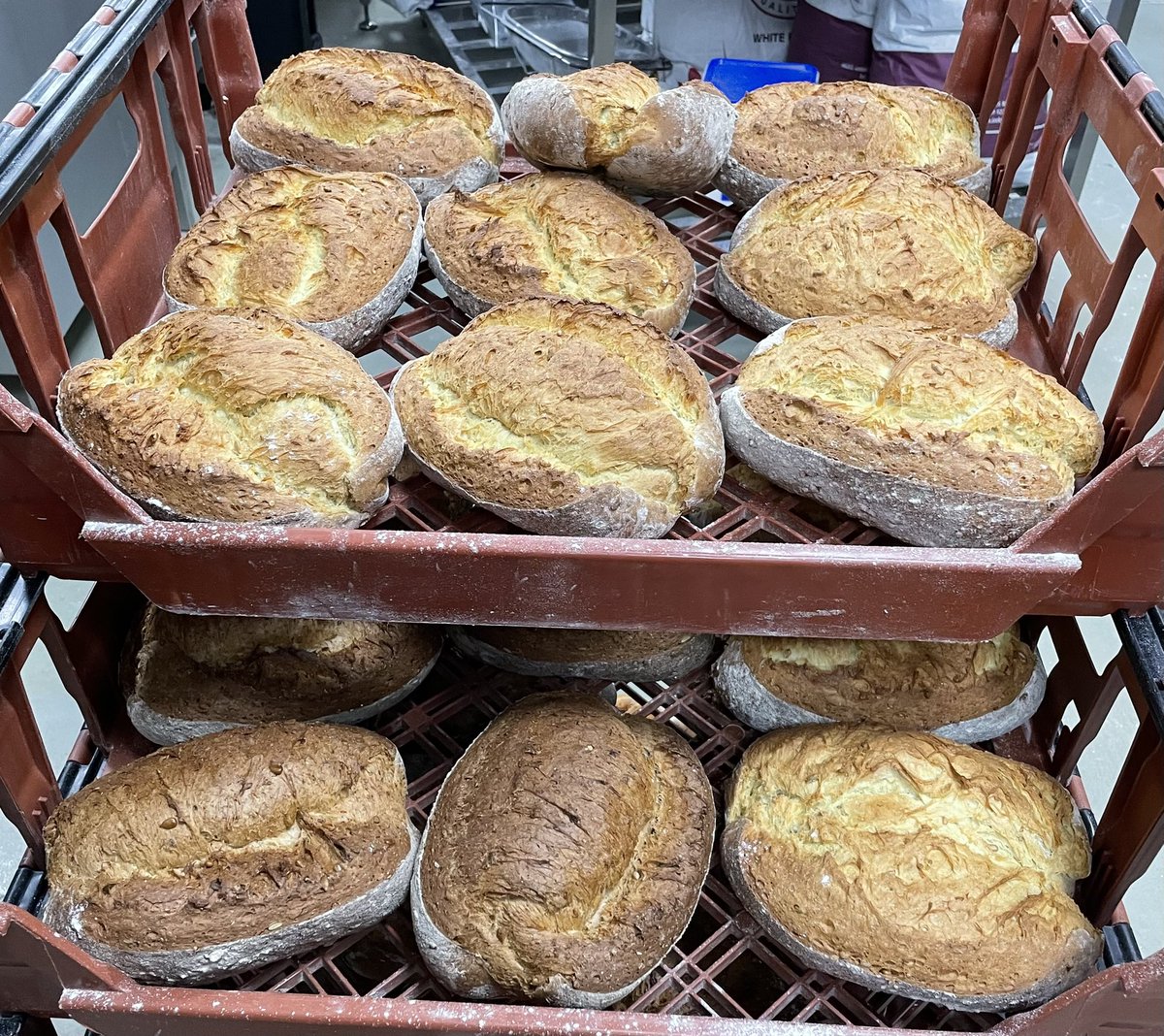 The_Artisan_'s tweet photo. Friday Morning at Rhiwbina Farmers Market @RCMAmarkets and @dinaspowysfarmersmarke #gourmetpasteldenata🥧🥟🥖🇵🇹🏴🇬🇧 https://t.co/7nArkOXHaj