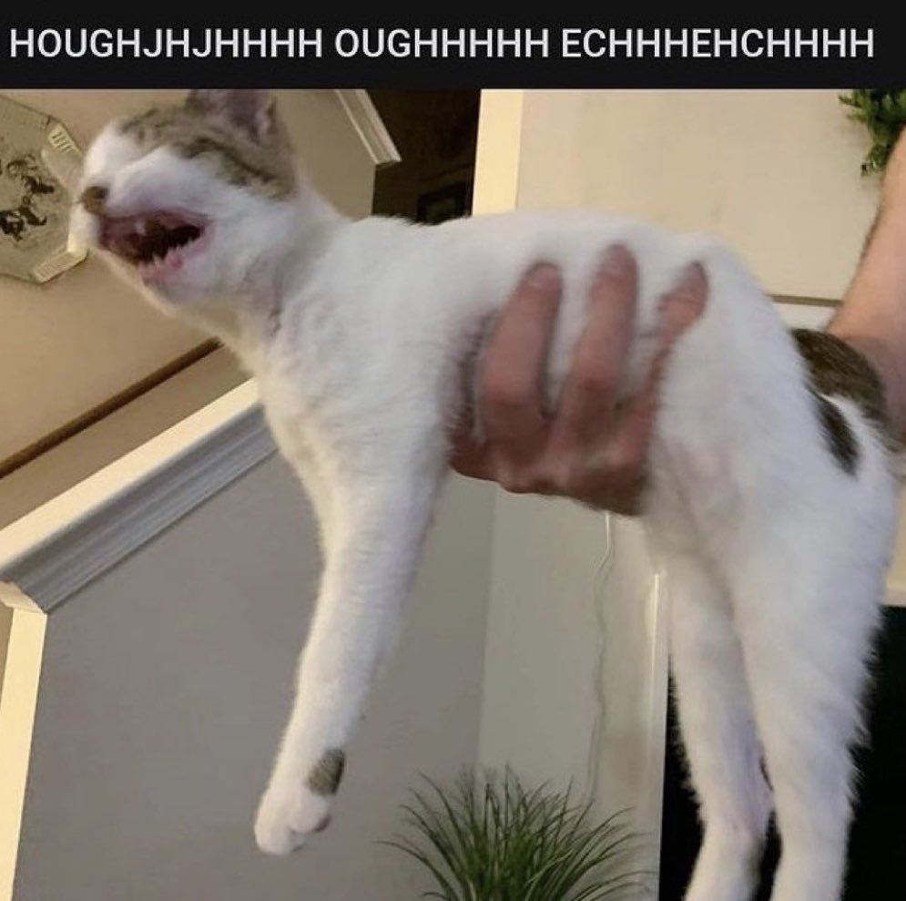 ͏ ͏ ͏ ͏ ͏ ͏ ͏ ͏Gose tweet media