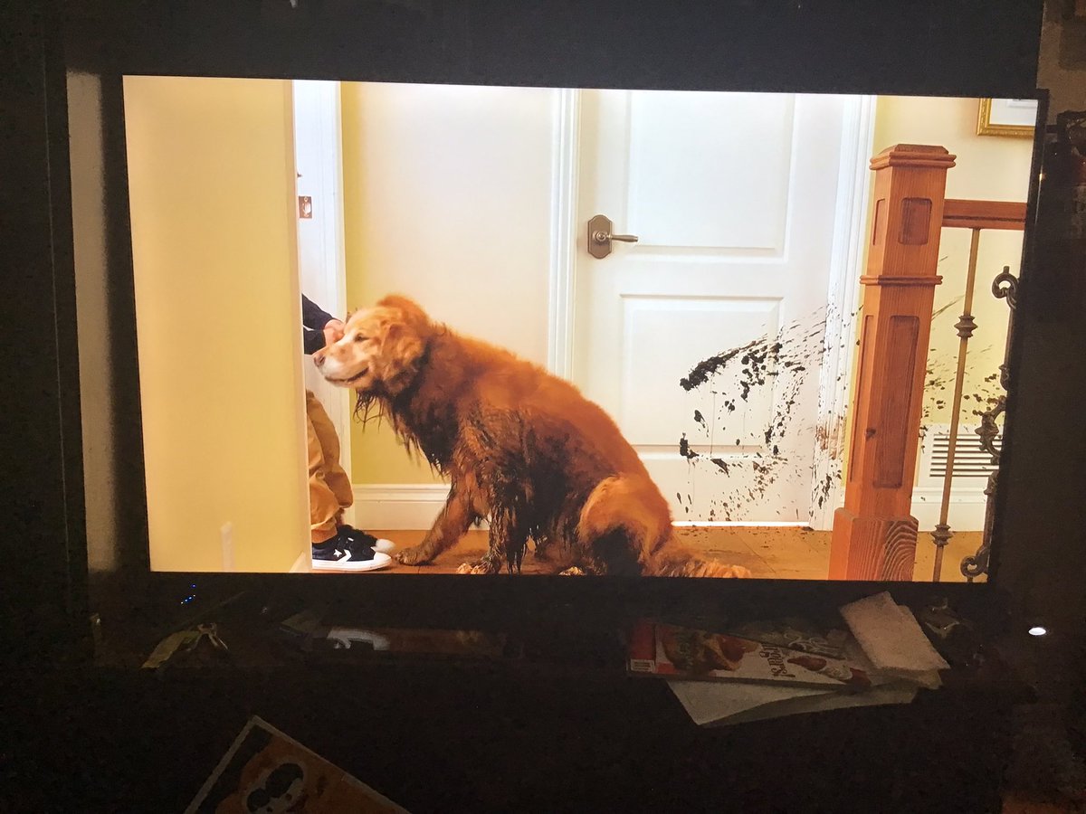 Lucky_The_Grey's tweet photo. Alors que je fais ma toilette, je vois cette pub avec le gros ouaf tout crotté qui salope la maison en envoyant de la vase partout ! Je regarde Stéphane l'air de dire. Tu dois être heureux que j'te ferais jamais un tel coup!
#Qualinet https://t.co/xEy8baFWHa