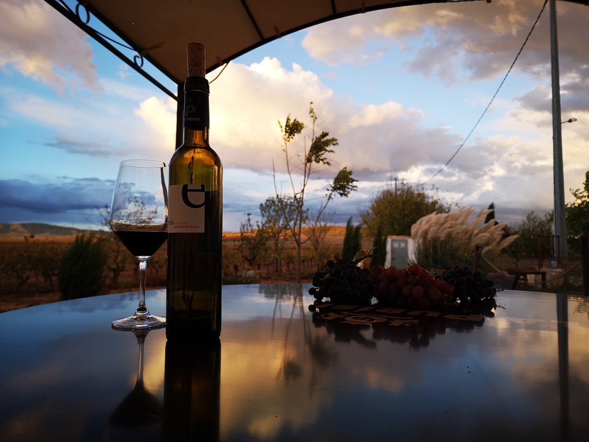 adelabernabeu's tweet photo. Con esencia, #vino, dulzura, tradición, marida con el mejor de los #paisajes @bodegaspurisima @bonrotllo @YeclaVino @Mi_Vino @rutasvinoespana https://t.co/gqgX2COlJH