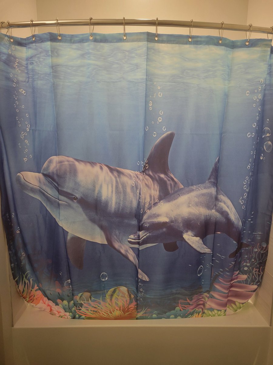 NjTank99's tweet photo. Hung a shower curtain in New place https://t.co/qiV8KddUzE