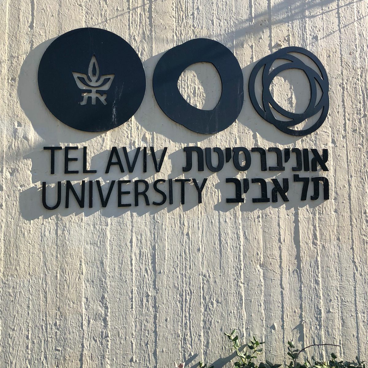 InnpulsaCol's tweet photo. 🇨🇴+🇮🇱 | En horas de la tarde, la @TelAvivUni  nos dió la bienvenida en sus instalaciones, para conocer sus programas académicos, ejecutivos y servicios para #emprendedores y Start-Ups. 

(📷 Santiago Acosta, director de nuestra nueva oficina de #innovación en #Israel 👇) https://t.co/jO5p32AAQT