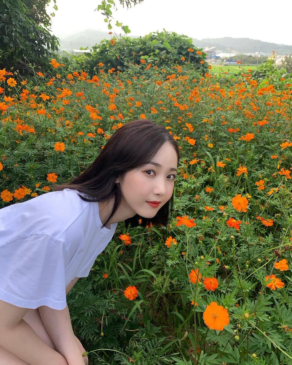 urbrisour's tweet photo. El otoño está que se siente a flor de piel y gracias a eso, uno de mis mayores deseos es #𝗙LY𝕃IKE𝓑UTTERFLIES y disfrutar de este maravilloso día and #𝔹E𝔸𝐋ALALAY with the queen. Mucho éxito, Alaska-nim! 🧡

𝐅lower ⋆ 𝐃oll, #𝕊OLEIL! https://t.co/hkKiMxfb6I