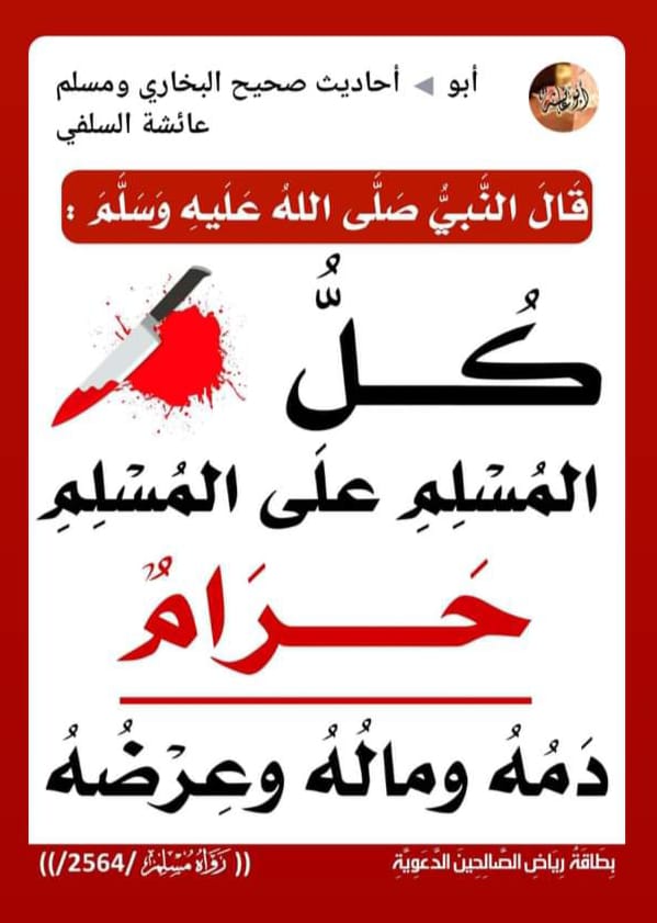 Sheref tweet media