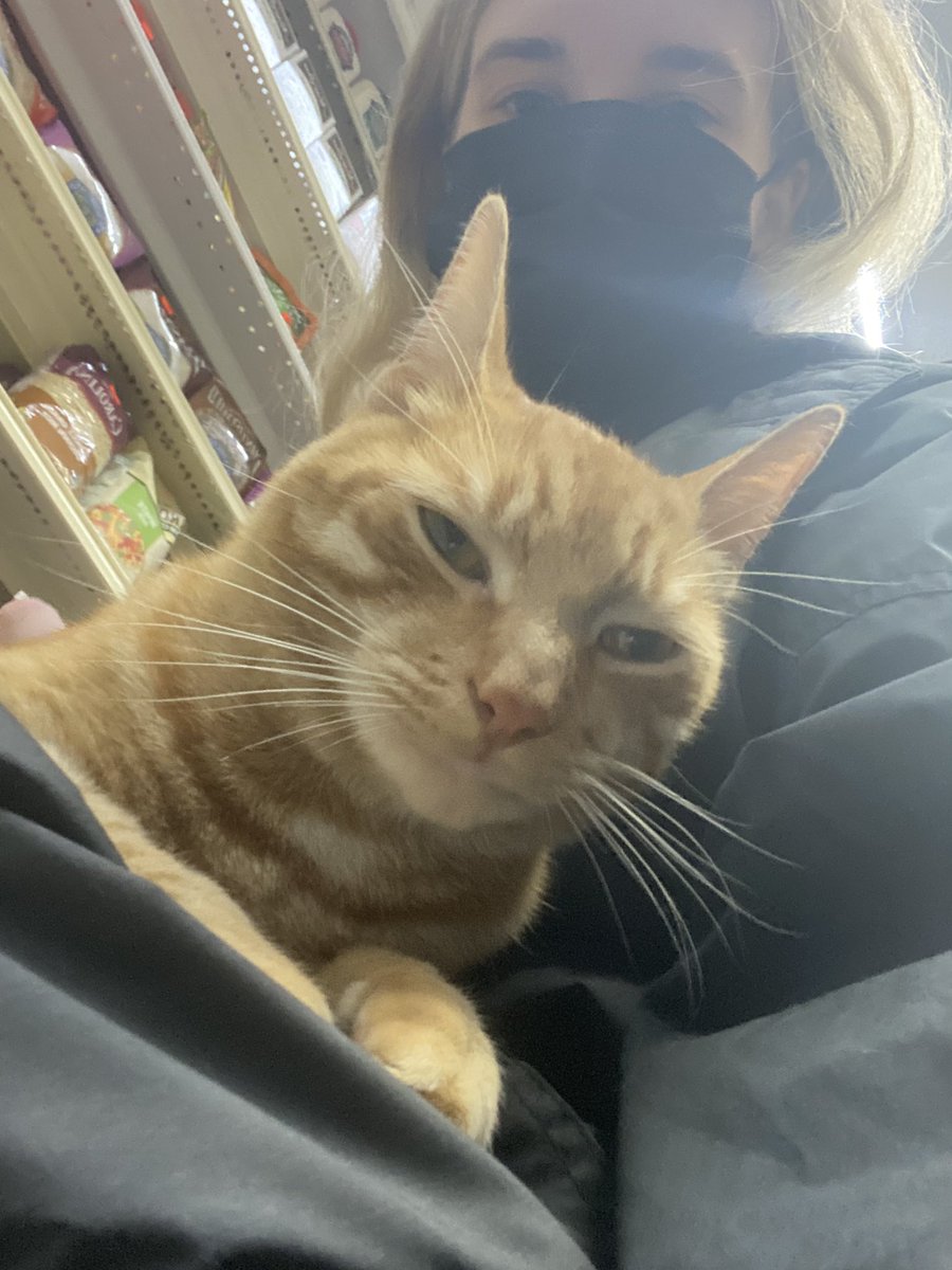 they call me the pussy whisperer