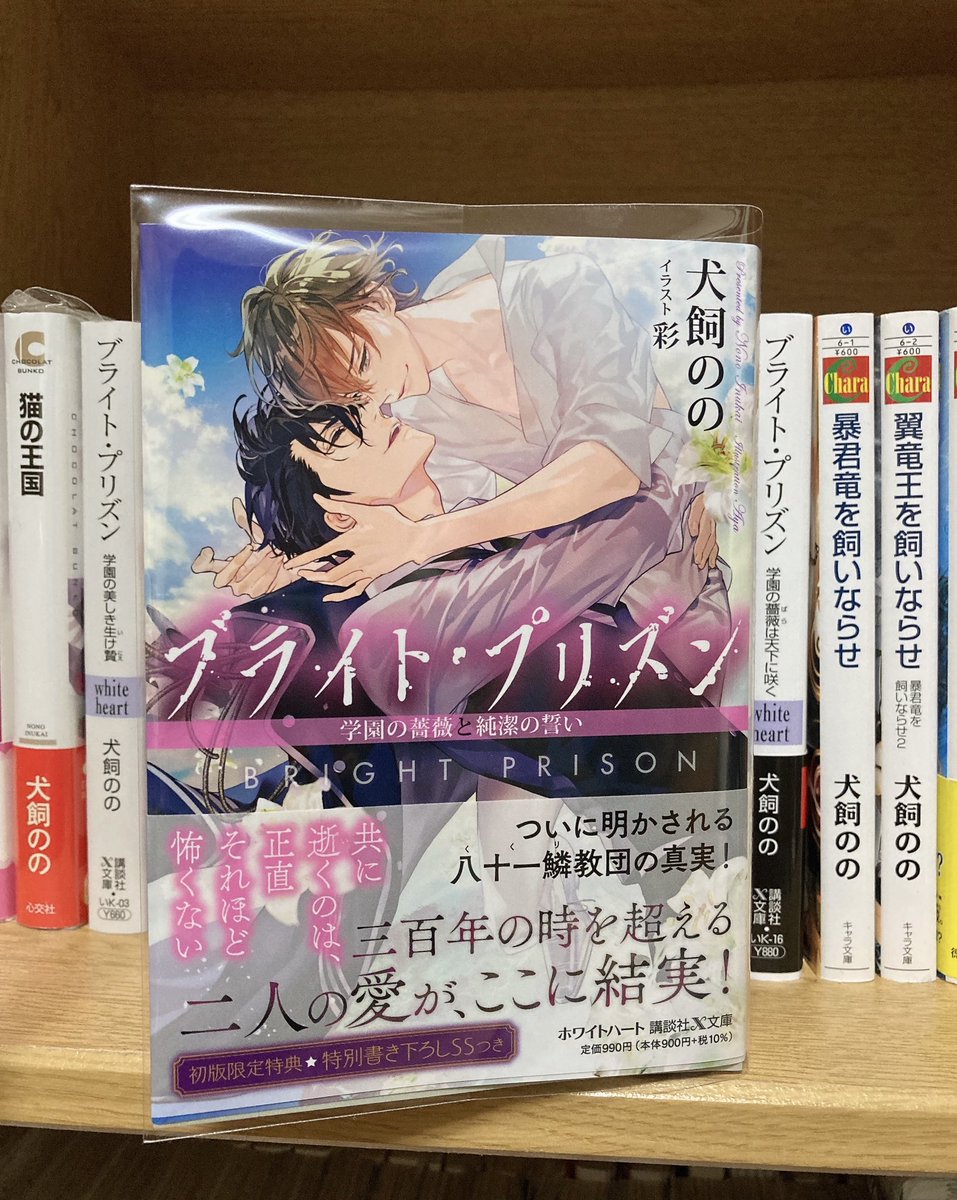 ブライト プリズン Twitter Search Twitter