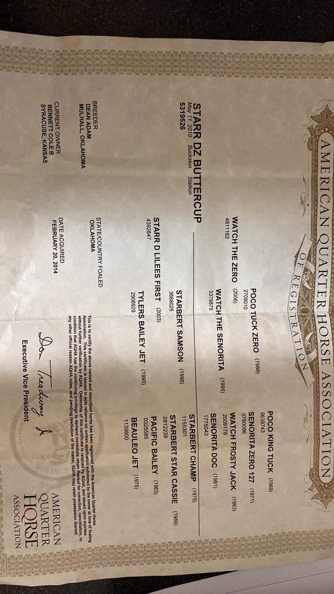 For sale! Come get him