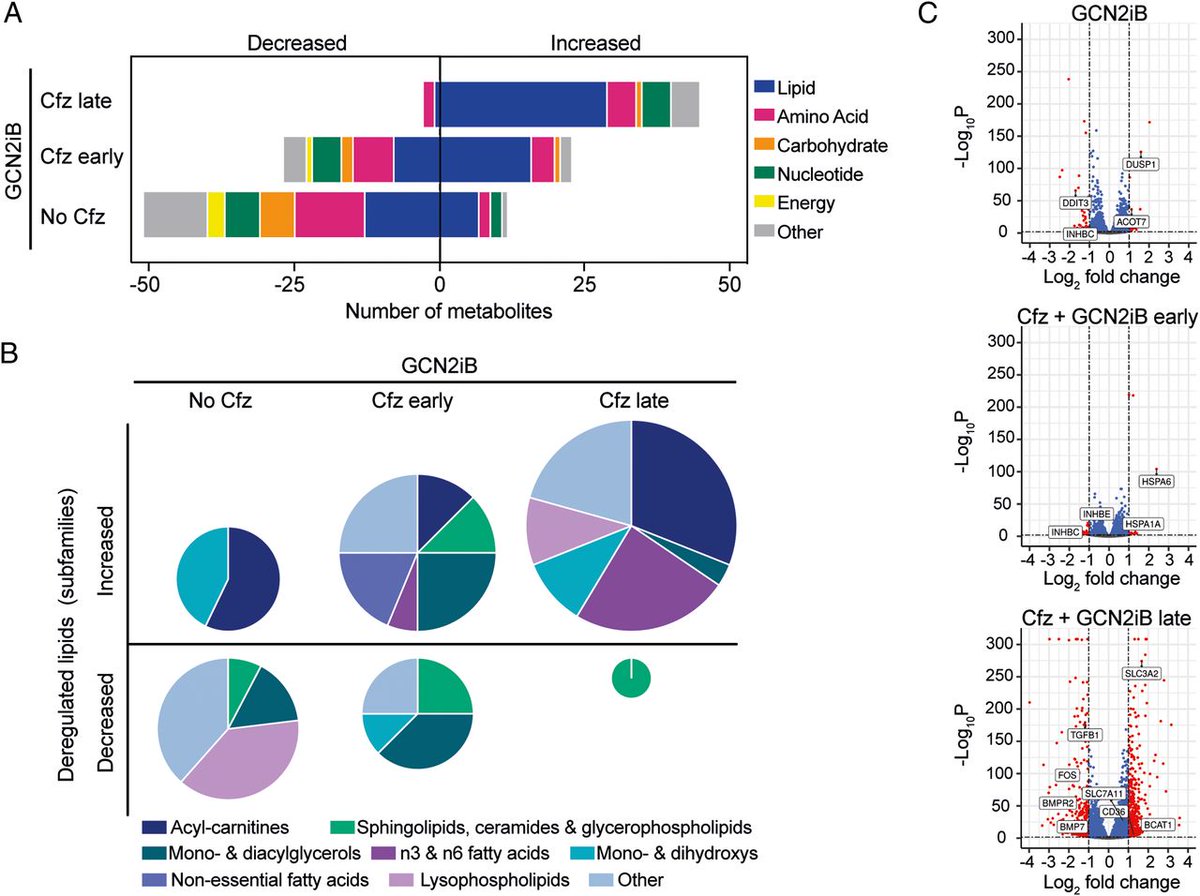 We have a new #myeloma target and it's a cool kinase called #GCN2. Identified as a #metabolic vulnerability by us <a href="/imperialcollege/">Imperial College London</a> earlier this year pnas.org/content/118/17… now elegantly linked to MM progression by the Trudel and <a href="/PughLab/">Pugh Lab</a> in nature.com/articles/s4146…