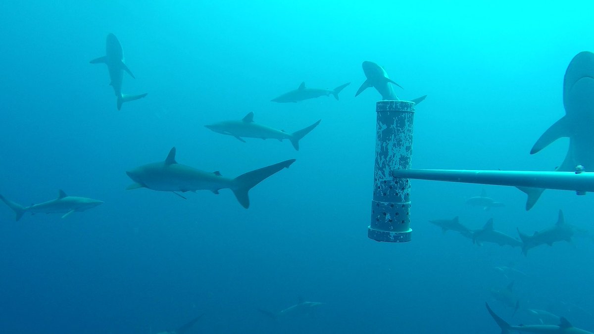 Blue Abacus tweet media