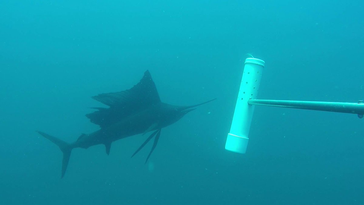 Blue Abacus tweet media