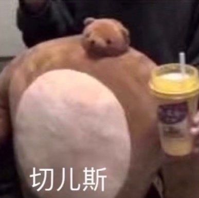 就是说在宿舍用秒潮，高潮的时候腿抽筋了谁懂……
现在一条腿挂在墙上呢不敢动，像提线的木偶 https://t.co/1317TOjQ5a