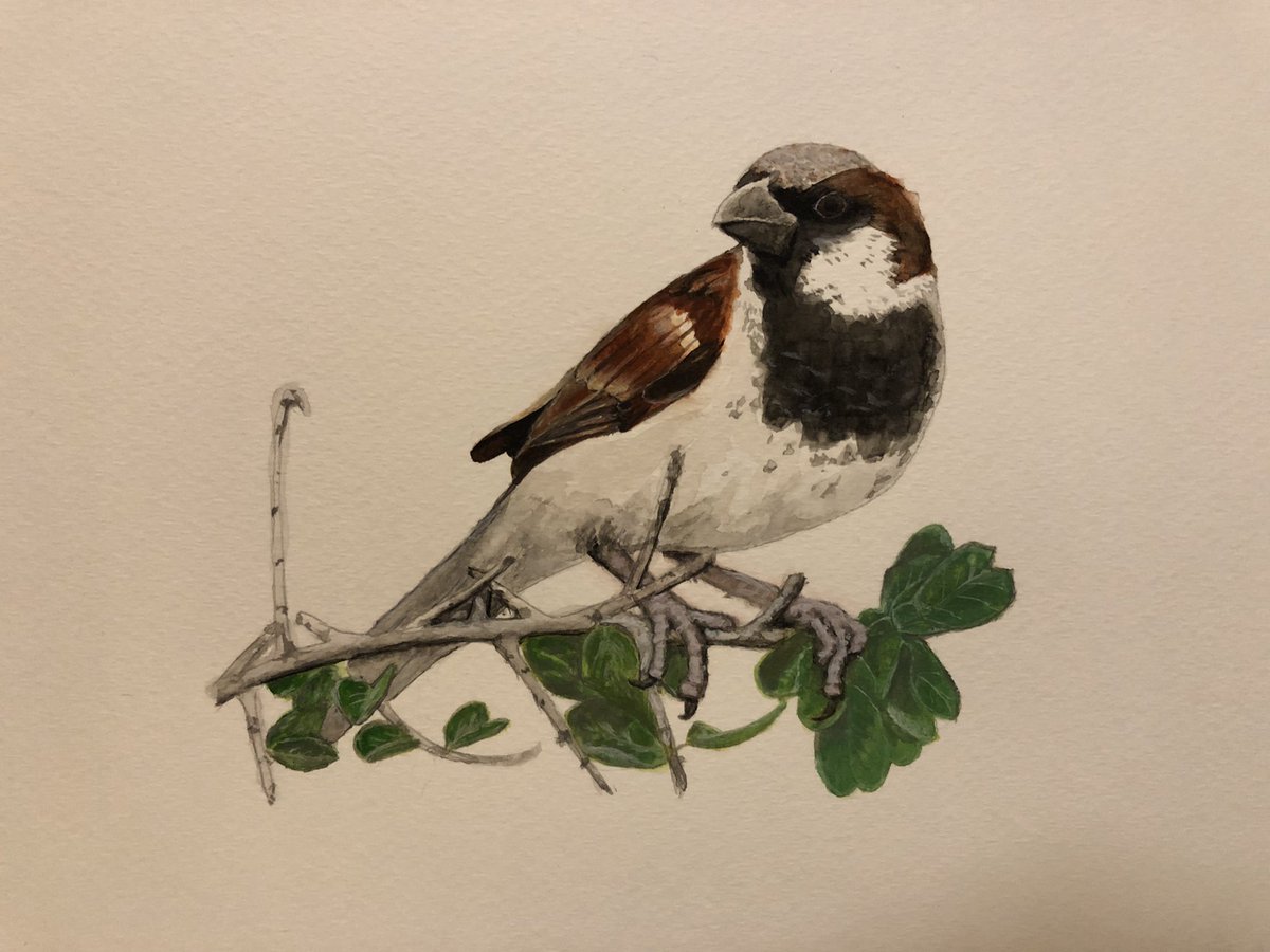 Not a doodle, but I rewarded myself after a stressful deadline by taking some time to try out watercolors — it’s way different, but fun 😎