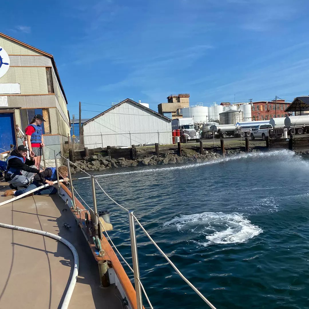 SSSOdyssey's tweet photo. Anchoring drills are a vital component of our crew's training. Unlike popular media's belief, anchoring isn't as simple as dropping the anchor and being done for the day. Check back later for a fun pop quiz and more info about anchoring! https://t.co/Sh4fZ1xKgt