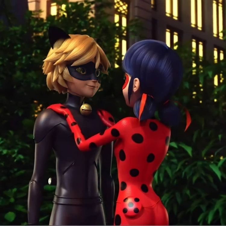 ladynoir 📁 tweet media