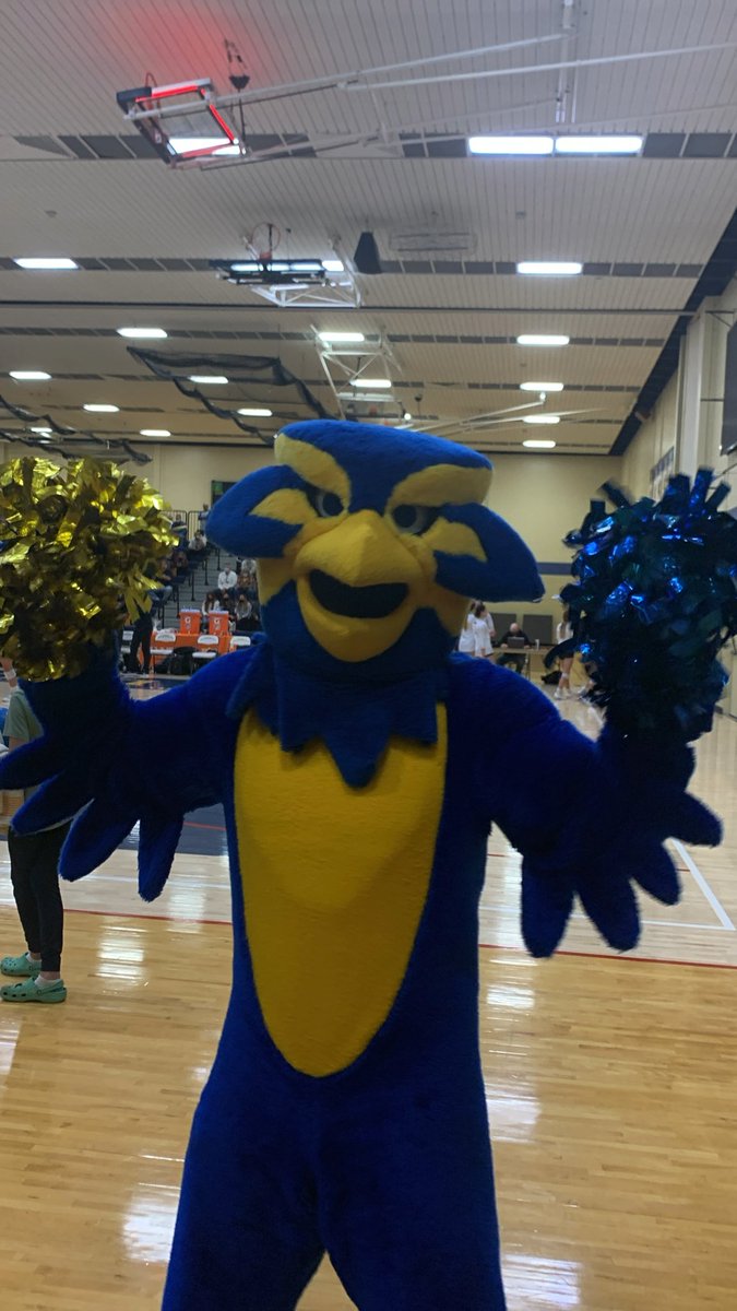 Go get ‘em Blugolds! 🏐