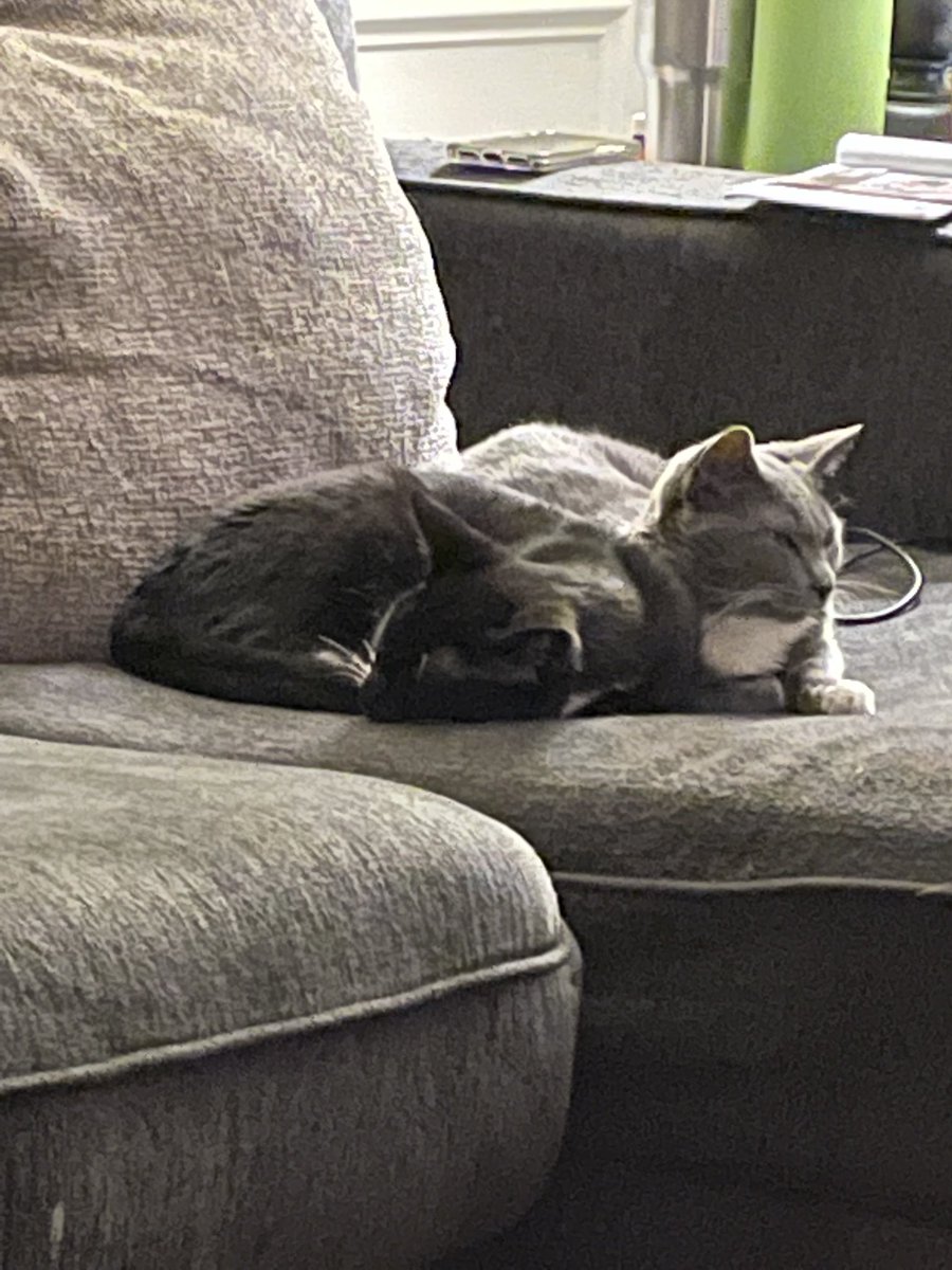 nursipoo's tweet photo. These brats won’t get outta grandma’s seat https://t.co/h8Mun5g8qn