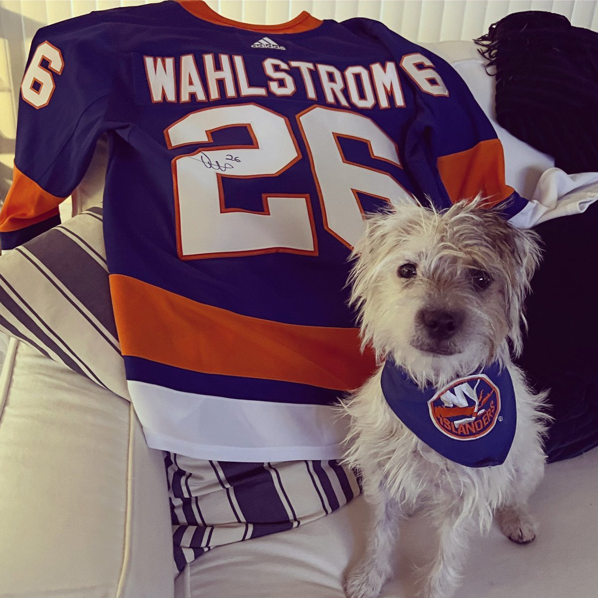 chicklet_c's tweet photo. Celebrating Wahlström goal!! @NYIslanders https://t.co/n5n9yxyWaF