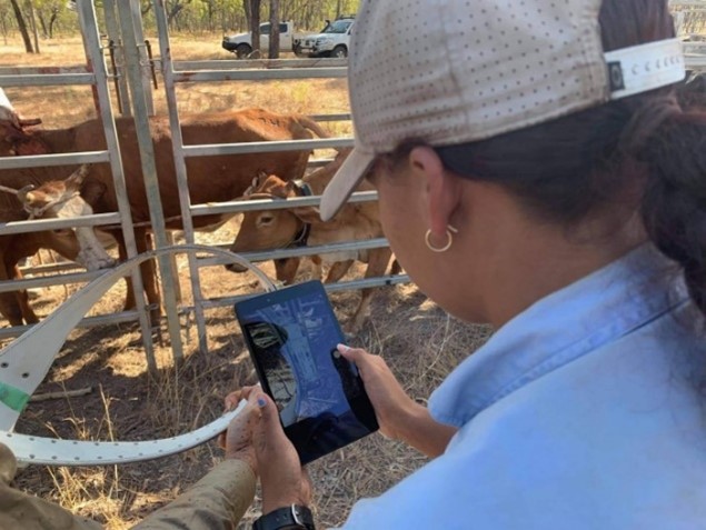 Our October Newsletter is available now!
Read about:
- the programs that will become some of our initial demonstration sites
- Indigenous led- AI project to help support land and sea rangers working in remote Northern Australia
- and more
us10.campaign-archive.com/?u=84917a6c268…
Photo: <a href="/NAILSMA2/">NAILSMA</a>